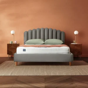 import placeholder for 6427